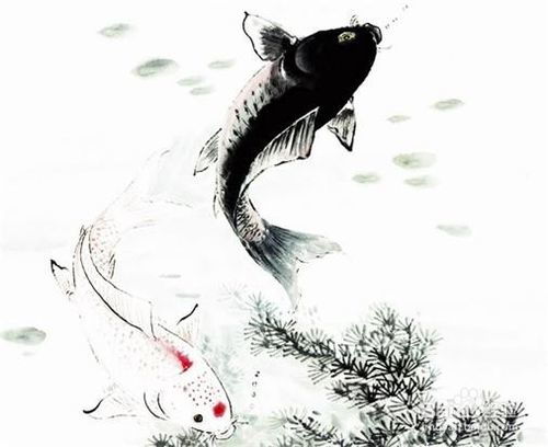 寫(xiě)景詩(shī)句摘抄加賞析,寫(xiě)景的詩(shī)句及賞析,夢(mèng)游天姥吟留別寫(xiě)景詩(shī)句賞析