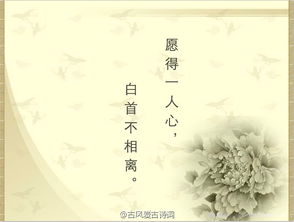 體現幸福的古詩(shī)句大全唯美,旅游古詩(shī)句大全唯美,新年古詩(shī)句大全唯美