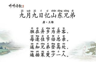 關(guān)于9月9日的詩(shī)句的詩(shī)句是什么意思是什么