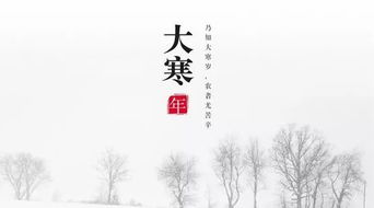 關(guān)于大寒的詩(shī)句加作者介紹