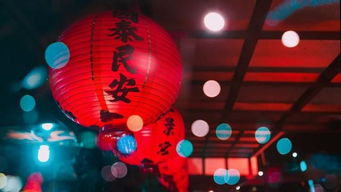 元宵節描寫(xiě)海的詩(shī)句古詩(shī)詞