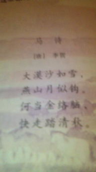 關(guān)于馬古詩(shī)的詩(shī)句有哪些