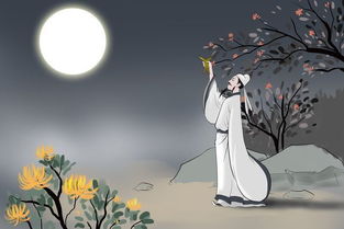 古詩(shī)菊花的詩(shī)句帶拼音,帶菊花的詩(shī)句古詩(shī),關(guān)于菊花的詩(shī)句古詩(shī)