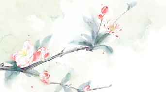 關(guān)于植物的古詩(shī)和詩(shī)句