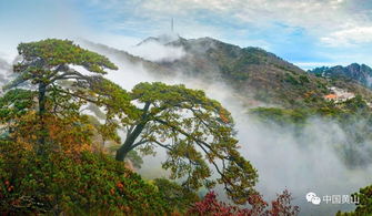 關(guān)于黃山的整首詩(shī)句