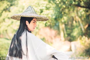 形容陽(yáng)光帥氣男兒的古詩(shī)句
