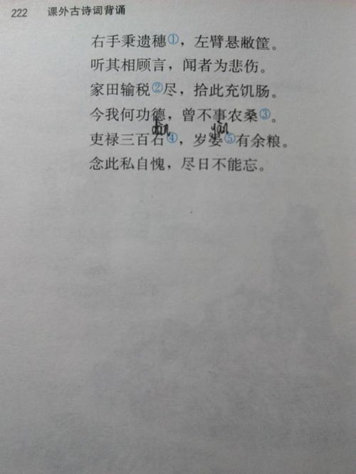 古詩(shī)中抒寫(xiě)鄉情的詩(shī)句