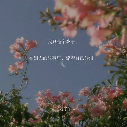 席慕蓉愛(ài)情詩(shī)句,關(guān)于詩(shī)和遠方的詩(shī)句席慕蓉,故宮雪景的詩(shī)句席慕蓉