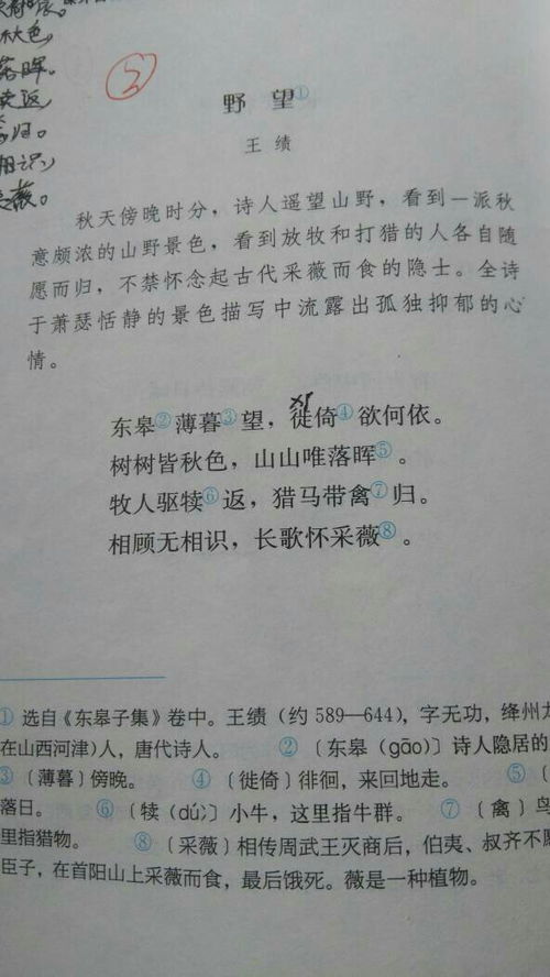 八級上冊?xún)?yōu)美古詩(shī)句