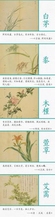 詩(shī)經(jīng)中關(guān)于描寫(xiě)水草的詩(shī)句