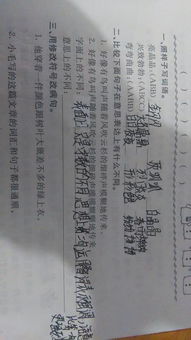 兩人對照的古詩(shī)句
