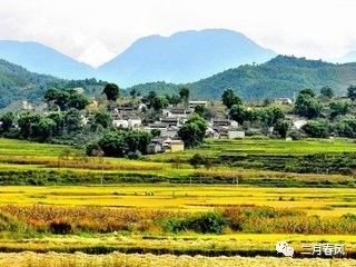 關(guān)于田野秋色的詩(shī)句