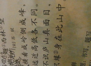 關(guān)于古代詩(shī)句和意思是什么意思是什么