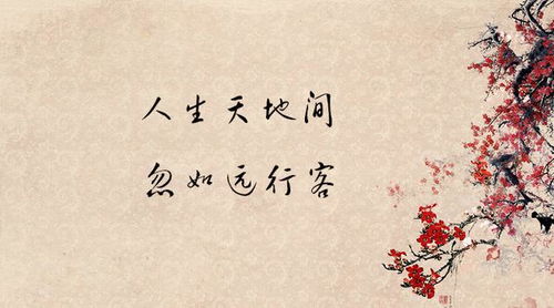 6字唯美古詩(shī)句子