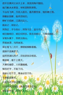 山河,詩(shī)句,祖國,小學(xué)