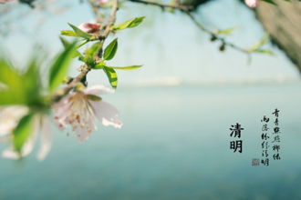 寫(xiě)草原有關(guān)的詩(shī)句古詩(shī)詞