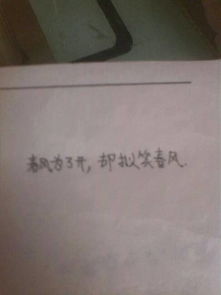 詩(shī)句,寫(xiě)出,數字