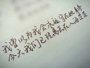 關(guān)于花的悲傷的詩(shī)句大全