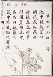 關(guān)于民國的詩(shī)句