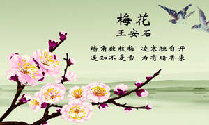 古詩(shī)中描寫(xiě)服飾的詩(shī)句詞