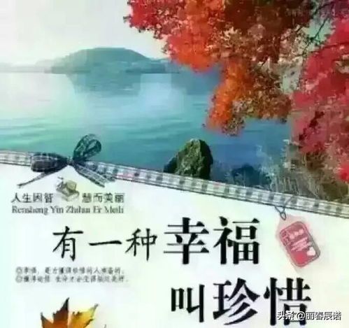 關(guān)于珍惜當下生活的詩(shī)句
