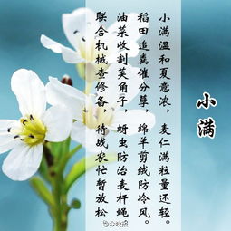 關(guān)于抒發(fā)情感的古典詩(shī)句