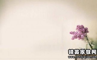 帶古詩(shī)句的優(yōu)美段落