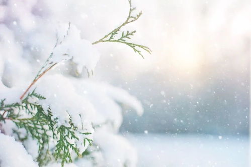 關(guān)于雪的詩(shī)句不帶雪字
