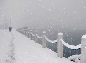 關(guān)于秋天初雪的詩(shī)句