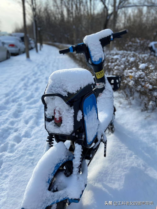 詩(shī)句,于雪