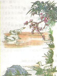 關(guān)于春的詩(shī)句和配圖