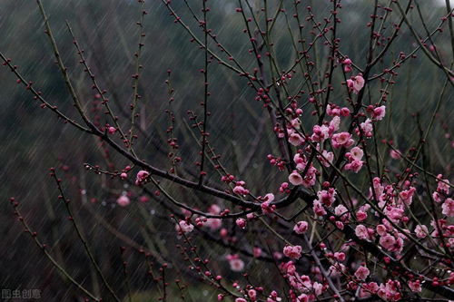 關(guān)于漫步春雨的詩(shī)句