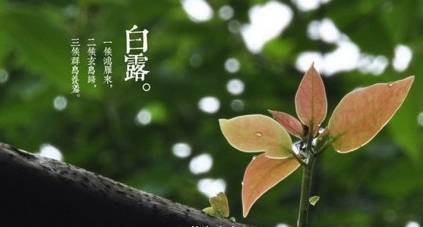有關(guān)白露節氣唯美詩(shī)句,與白露節氣有關(guān)的詩(shī)句,描寫(xiě)節氣白露的詩(shī)句