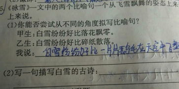 描寫(xiě)雪的古詩(shī)句3句上下句