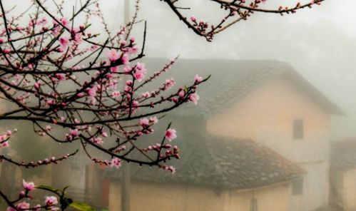 寫(xiě)一句關(guān)于高峰的一句詩(shī)句