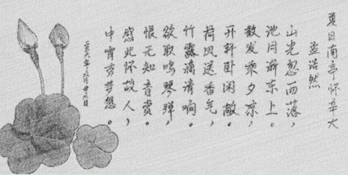關(guān)于夏季涼快的詩(shī)句
