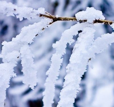 描寫(xiě)雪的詩(shī)句古詩(shī)大