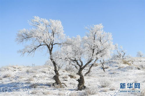 白雪皚皚的原野古詩(shī),白雪皚皚的詩(shī)句古詩(shī),描寫(xiě)白雪皚皚的古詩(shī)
