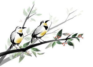 古詩(shī)中形容鳥(niǎo)叫的詩(shī)句鳥(niǎo)弄
