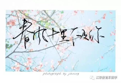 百度文庫關(guān)于桃花的古詩(shī)句