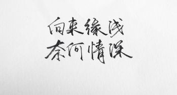 關(guān)于緣淺的詩(shī)句