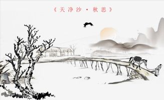 詩(shī)句,贊美