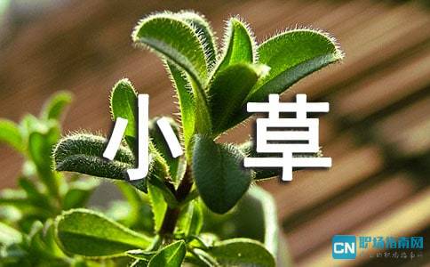 關(guān)于小草頑強生命的詩(shī)句