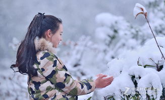雪中美女古詩(shī)句