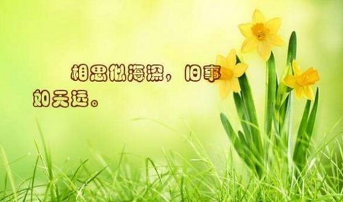 關(guān)于懷念家長(zhǎng)花香的詩(shī)句