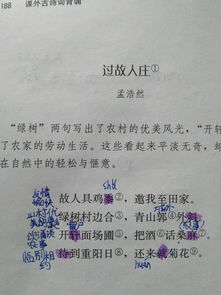 初一25首古詩(shī)哪些是寫(xiě)山的詩(shī)句