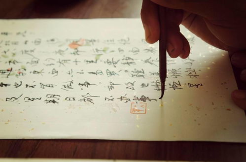 關(guān)于書(shū)信少的詩(shī)句