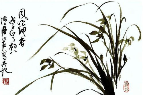 關(guān)于蘭草的古詩(shī)句