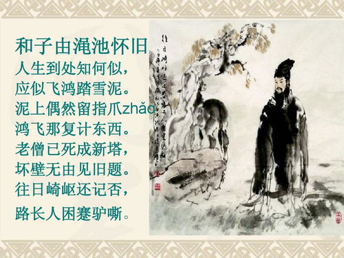 詩(shī)句,坎坷,人生