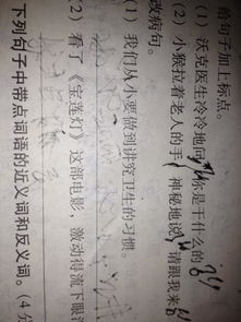 古詩(shī)中含有桃的詩(shī)句有什么作用
